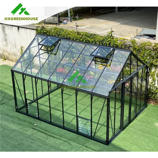 Serre Jardin Luxe Chine Couverture Hiver Champignon Vert Maison