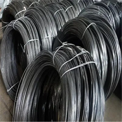 Fil recuit noir 1,6 mm, 3,4 mm, 3,5 mm vers l'Afrique de l'usine