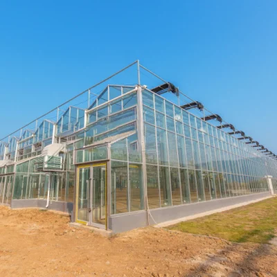 Serre en verre/à plusieurs travées avec système hydroponique d'irrigation pour fraise/légumes/fleurs/tomate/poivron